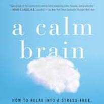 Image of clouds on a blue background, cover of book: the Calm Brain.